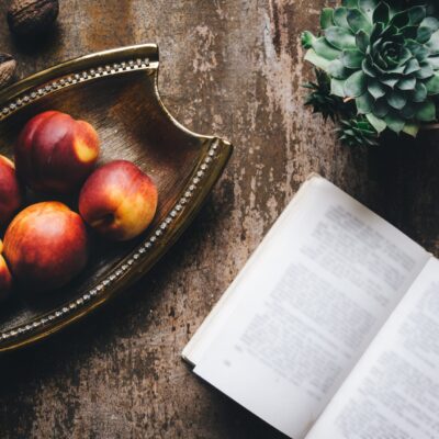 alexander-mils-6aLDv_mhVuk-unsplash